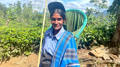 Charukesi Ramadurai Many tea plantation workers are descended from the Indian-Tamils brought to Sri Lanka by the British (Credit: Charukesi Ramadurai)