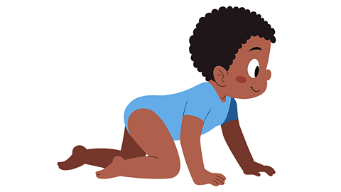 A baby crawling
