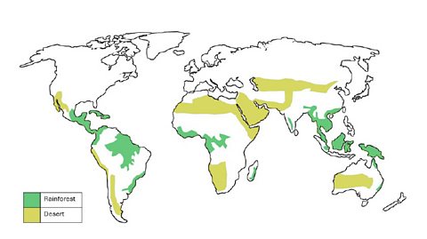Map showing the rainforest and desert biomes