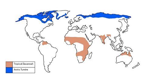 Map showing the tropical savannah and Arctic tundra biomes