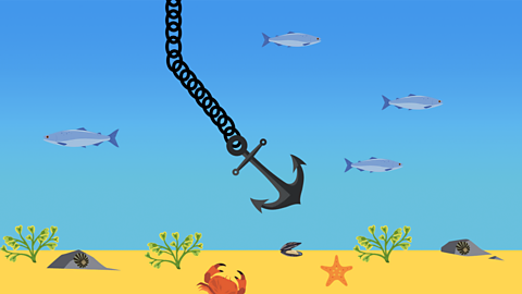 An illustration of an anchor in the sea moving with the current