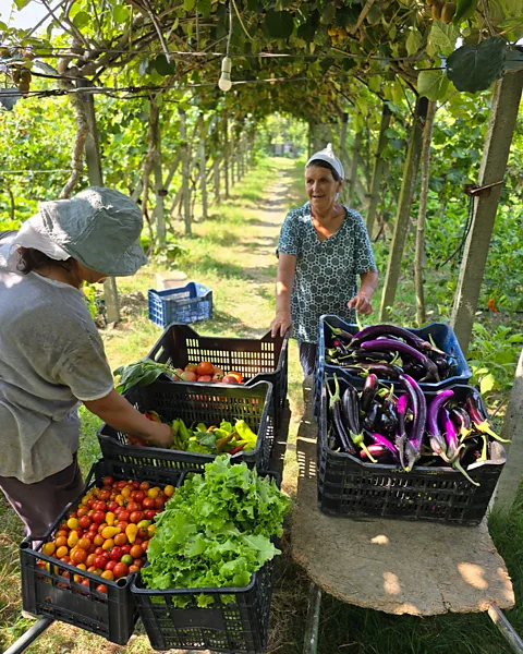 Uka Farm Following the fall of communism, many farmers migrated to Albanian cities, leaving only the elderly behind (Credit: Uka Farm)