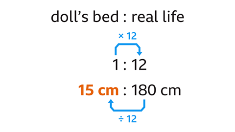doll's bed to real life is 1 to 12. 1 to 12 is 1 times by 12. 180cm divided by 12 is 15cm
