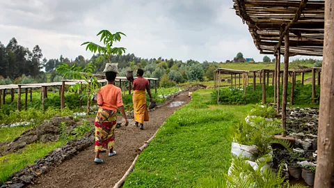 Singita Travellers should ask safari operators how they work with the local community (Credit: Singita)