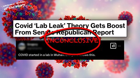 Headlines reading 'Covid 'Lab Leak' Theory Gets Boost From Senate Republican Report' and social post reading 'COVID started in a lab in Wuhan. Everyone knows this'. Background is a graphic of coronavirus.