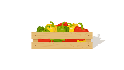 A box of red, yellow and green peppers.