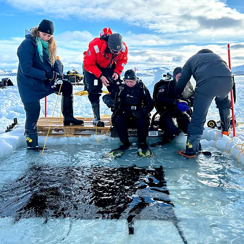 Erika Benke Divers are cut off from the world above them by a ceiling of ice so must use safety lines to communicate with the surface (Credit: Erika Benke)