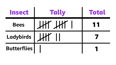 A tally chart showing data for insects
