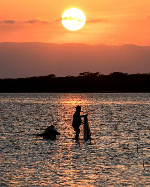 Getty Images Polychaete worms support the ecosystem of Pulicat Lake, which in turn supports local livelihoods (Credit: Getty Images)