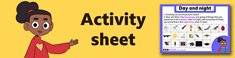Download the activity sheet