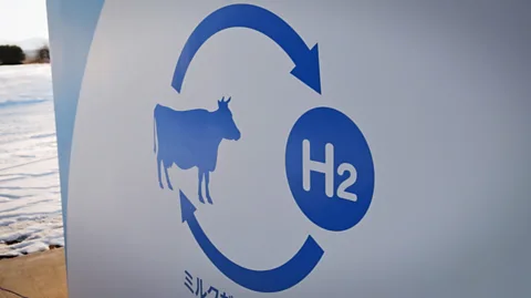 Turning organic waste products into hydrogen fuel is an idea gathering popularity in many parts of the world (Credit: BBC)