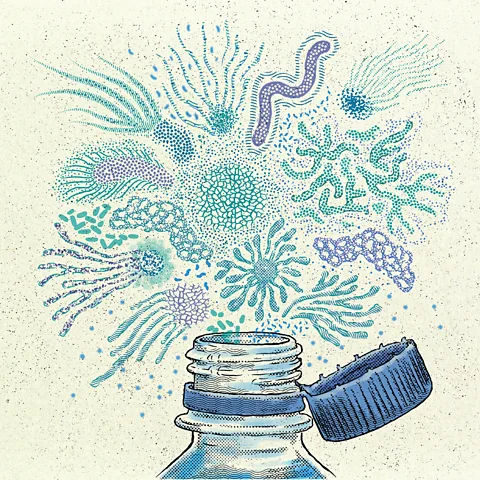 Gorka Olmo Every sip you take from a water bottle or even a glass can leave microbes behind that mingle with those already in the liquid (Credit: Gorka Olmo)