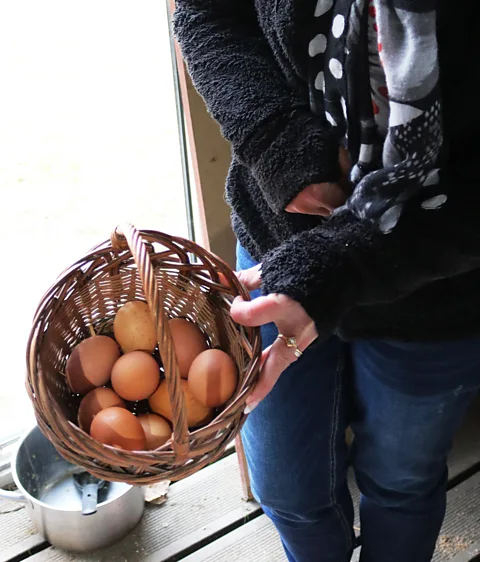 Alamy Colmar residents have been left with a plentiful supply of eggs since 2015 (Credit: Alamy)