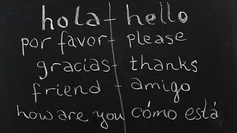 A chalkboard with some Spanish phrases translated to English. Hola – Hello. Por Favor – Please. Gracias – Thanks. Friend – Amigo. How are you – Cómo está. 