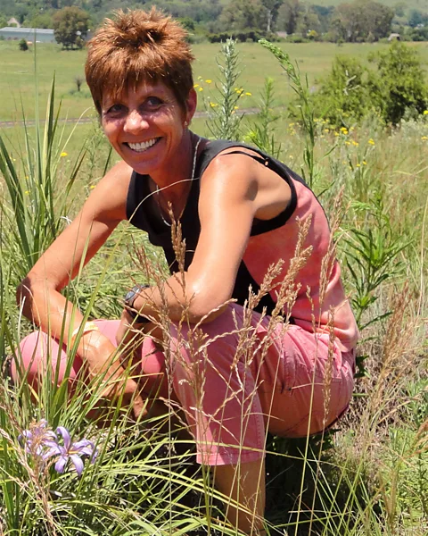 Jill Farrant Desiccation tolerance expert Jill Farrant first noticed the remarkable abilities of resurrection plants when she was a child (Credit: Jill Farrant)