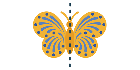 A butterfly with a symmetrical line going through the centre of it.