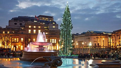 Christmas tree in Trafalger square at dusk.