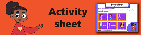 Download the activity sheet