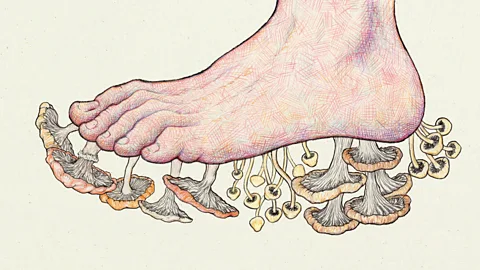 Gorka Olmo/BBC The microbes that live on our feet are actually serve an important purpose, helping to repel harmful bacteria (Credit: Gorka Olmo/ BBC)