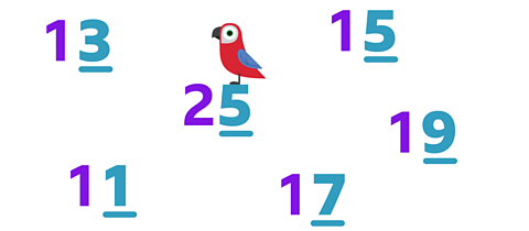 Odd numbers 13, 25, 15, 11, 17 and 19. The odd numbers 3, 5, 1, 7 and 9 are highlighted. A colourful parrot stands on the 5 of the number 25.
