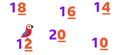 Even numbers 18, 16, 14, 12, 20 and 10. The even numbers 8, 6, 4, 2, 0 are highlighted. A colourful parrot stands on the 2 of the number 12.