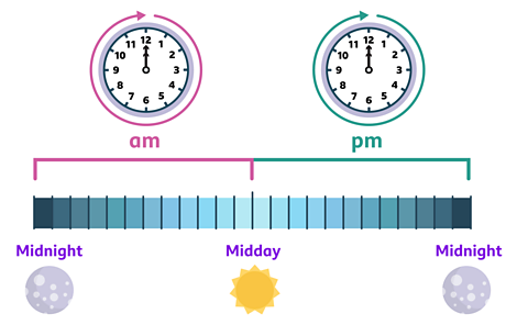 The hands of a 12 hour clock travelling round a clock face twice in a day. As well as a chart showing 24 hour day and points for midnight and midday.