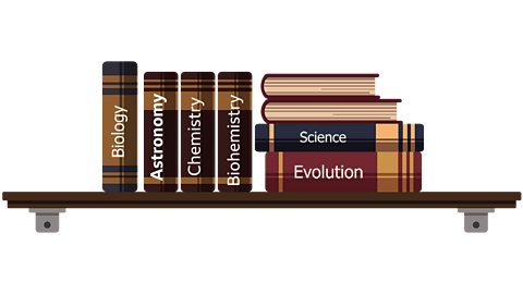 An illustration of science books