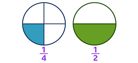 Two circles which are the same size. One circle is slit into 4 equal parts with 1 part shaded is labelled 1 fourth. The other circle is split into 2 parts with 1 part shaded is labelled 1 half.