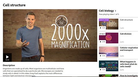 An example of a video playlist about cell structure.