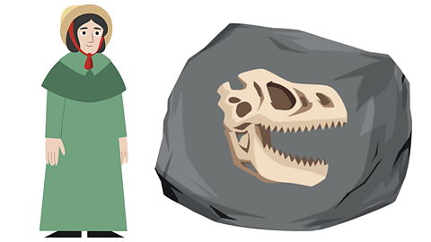 An illustration of the palaeontologist Mary Anning