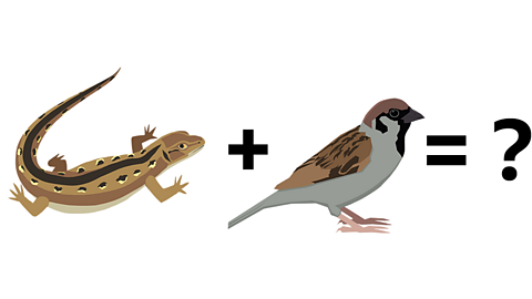 Leonardo's scientific equation showing how to make a dragon, or at least a fairly decent fake dragon.