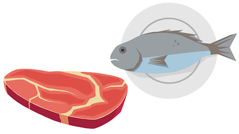 a piece of raw steak and a fish on a plate