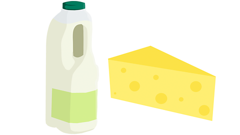 A plastic bottle of milk and a block of cheese