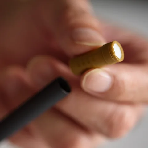 Getty Images The devices use sticks, pods, capsules or plugs formed of tobacco and other ingredients that are then heated with an electronic element (Credit: Getty Images)