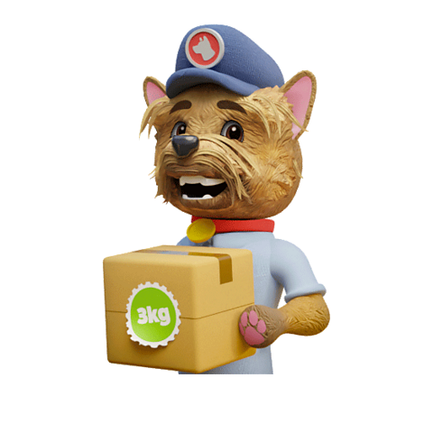Postie-Dog from the Canine Crew holding a parcel with the mass of 3kg labelled on a sticker.