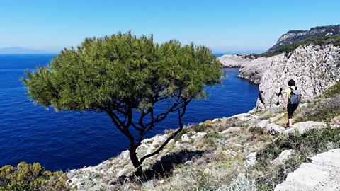 Alamy The Trail of Little Forts offers magnificent views while tracing Capri's Bourbon past (Credit: Alamy)