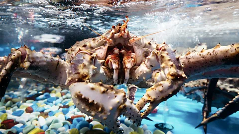 Getty Images BK Seafood Market in Sunset Park is Eng's go-to for the freshest Chinese-style seafood (Credit: Getty Images)