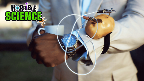 It's stylish, it's elegant, you can serve it mashed with sausages, yes it's a potato powered watch!