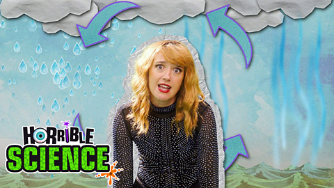 A young woman who might possibly pass as Taylor Swift in front of a diagram representing the water cycle