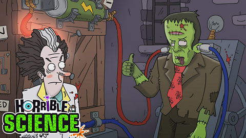 Dr Frankenstein admiring his skillfully designed monster