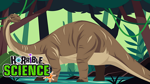 An illustration of a Brontosaurus