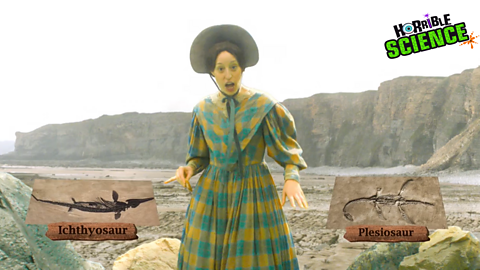 Still photograph from the show of Mary Anning on a beach with a fossil of an Ichthyosaur and Pleslosaur.