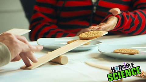 A small wooden seesaw with a biscuit on one side