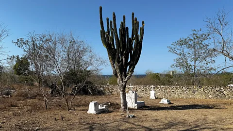 Jamie Fullerton "El Sapo aka The Toad" was murdered by fellow prisoners and is buried in the Isla María Madre graveyard (Credit: Jamie Fullerton)