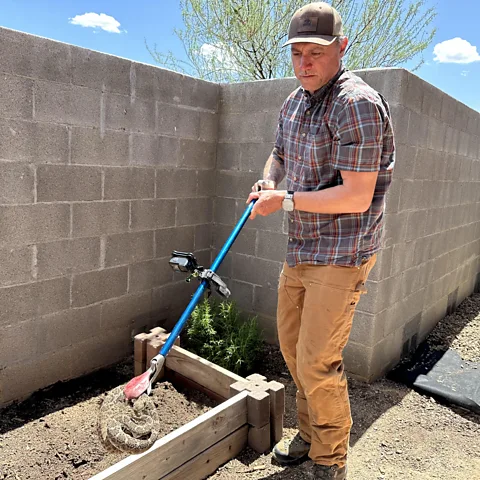 Rattlesnake Solutions Capturing a rattlesnake for relocation (Credit: Rattlesnake Solutions)