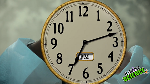 A photograph of a clock from the Horrible Science clip.