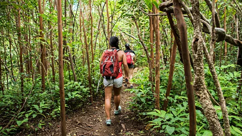 Alamy Maui is the second-most visited of the Hawaiian Islands, with natural wonders that draw families from all over the world (Credit: Alamy)