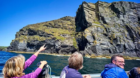 Alamy Around 33 species of seabirds breed on the island, making it an ideal destination for birdwatchers (Credit: Alamy)