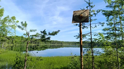 Andrei Fadeev Nuclear Lake, near Russia's Ural Mountains, on a calm day (Credit: Andrei Fadeev)