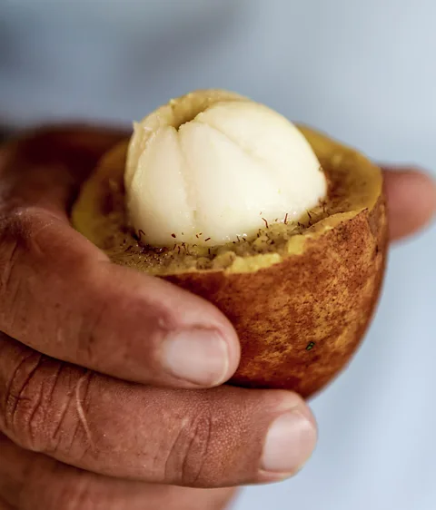 Alamy Cupuaçu is a close relative of cacao (Credit: Alamy)